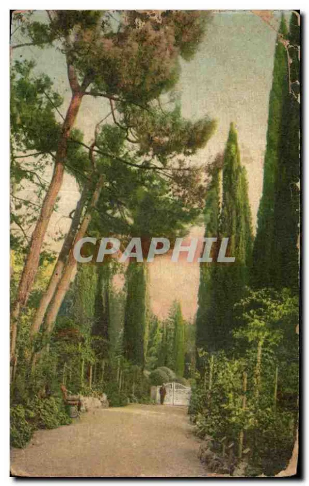 Rose-Allee — Krim — unbekannter Verleger, Nr. 159 - Vorderseite