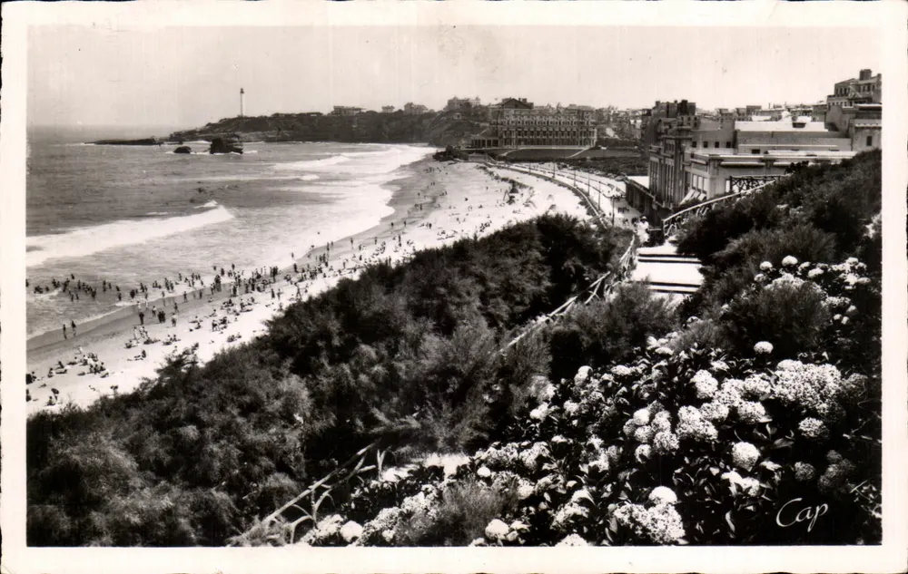 Biarritz — Die Hydrangeen und die Grande Plage — C.A.P. Paris Nr. 300 - Vorderseite