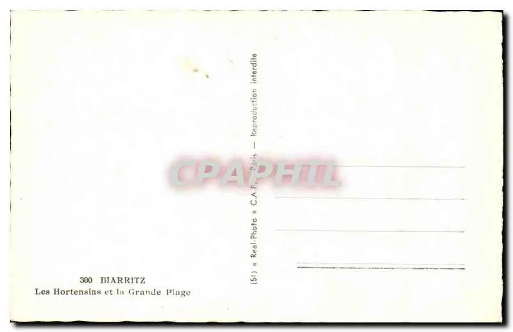 Biarritz — Die Hydrangeen und die Grande Plage — C.A.P. Paris Nr. 300 - Rückseite