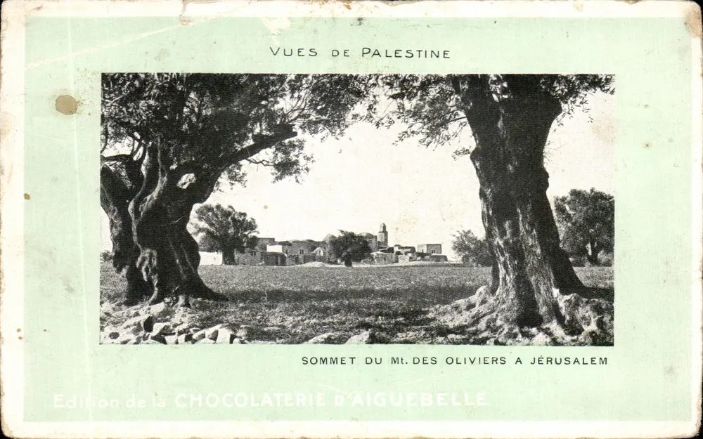 Gipfel des Mt. der Oliven in Jerusalem — von zwei Olivenbäumen eingerahmt — Édition de la Chocolaterie d'Aiguebelle - Vorderseite