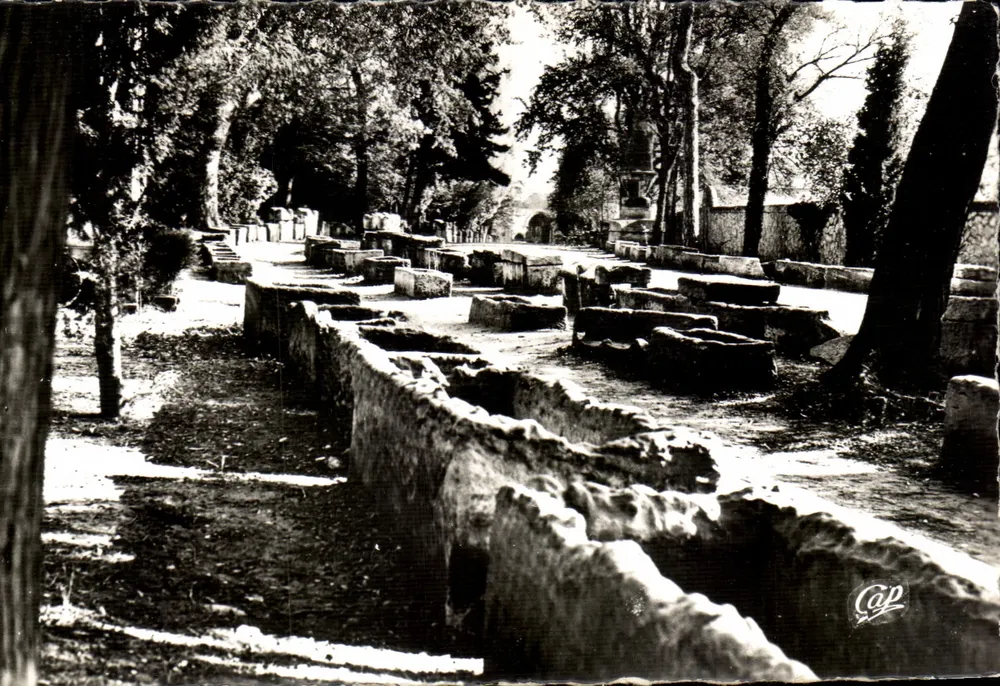 Les Alyscamps, alameda dos Túmulos — Arles — editor Real Photo-Cie des Arts Photomécaniques - Frente