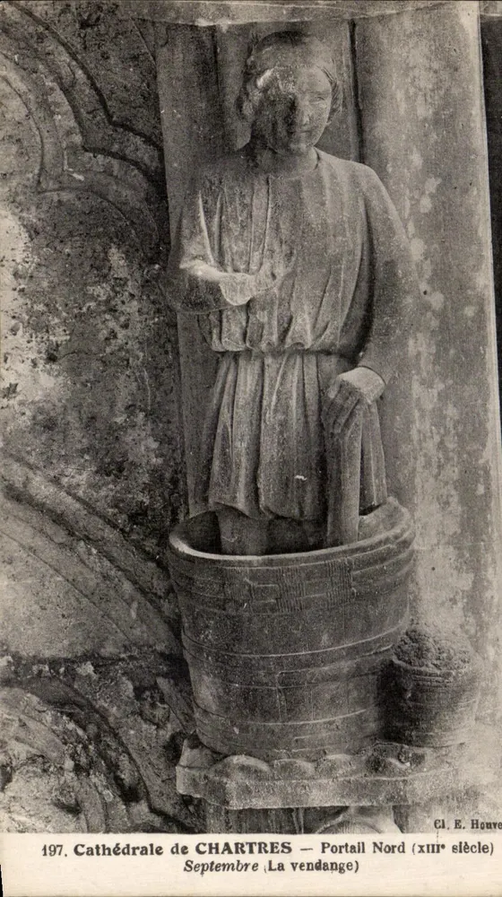 Kathedrale von Chartres — Nordportal (13. Jahrhundert) — Die Weinlese - Vorderseite