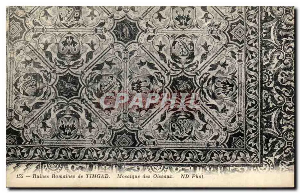 Römische Ruinen von TIMGAD — Mosaik der Vögel — ND Phot. - Vorderseite
