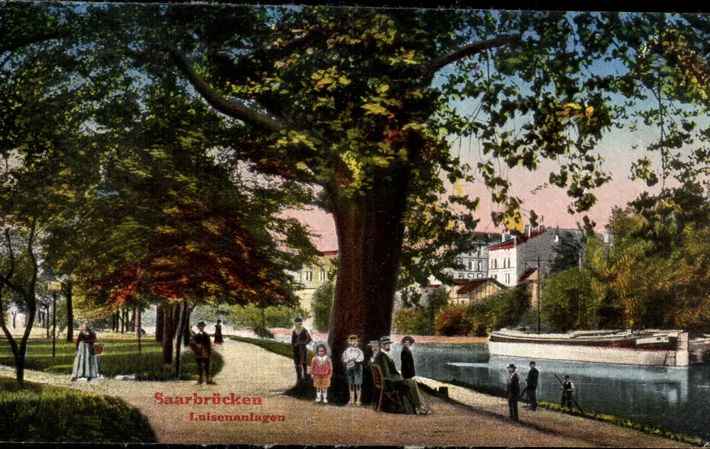 Saarbrücken — Luitsenanlagen — monumentales Baum nahe einem Kanal - Vorderseite