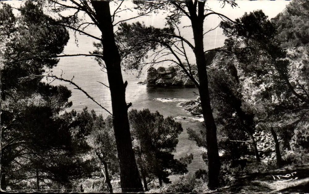 Die Grande Cale durch die Kiefern — Insel Porquerolles (Var) — IRON - Vorderseite