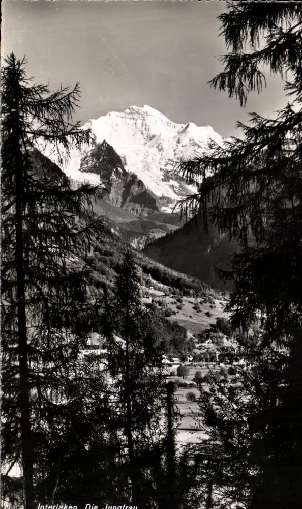 Interlaken — vue de la Jungfrau depuis les forêts — Phot. J. Stump & Cie, Interlaken, n°1214 - Awers