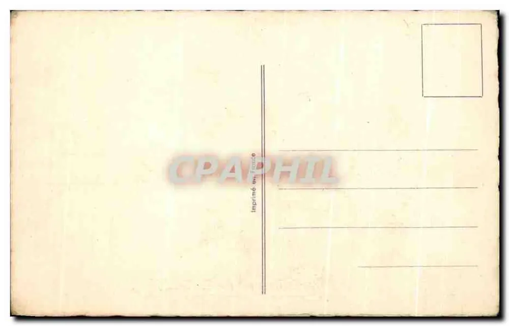 Büschel violetter und gelber Margeriten — mit Zügel — Geburtstagsgrüße — Druckerei - Rückseite