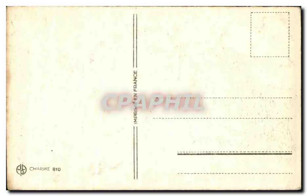 Tulpen — Geburtstag — Charme 810 - Rückseite