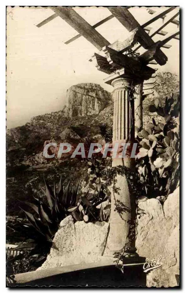 Der exotische Garten — Monaco — Luxus-Editionen - Vorderseite