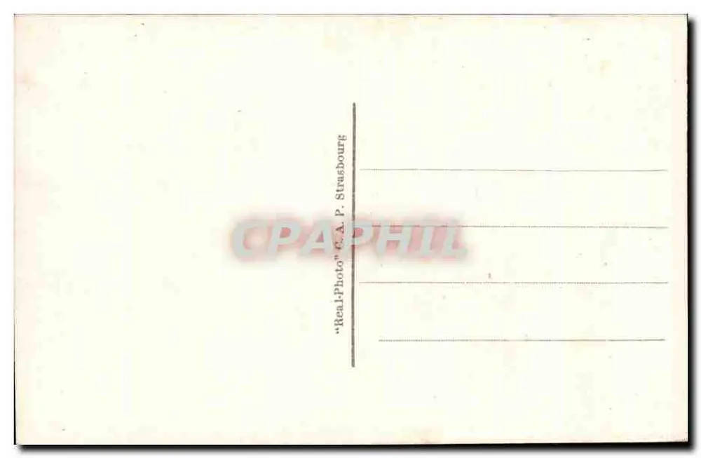 Lourdes — La Basilica e il Gave — editore C.A.P. n°16 - Verso