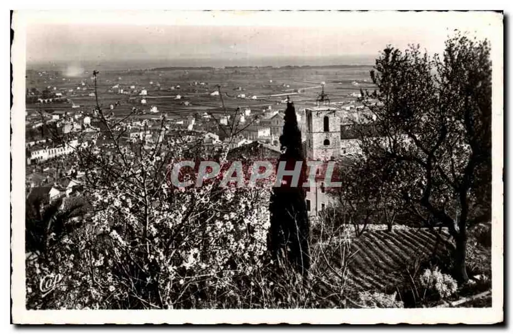 Hyères - Vista da Planície — editor Réal Photo, n°34 - Frente