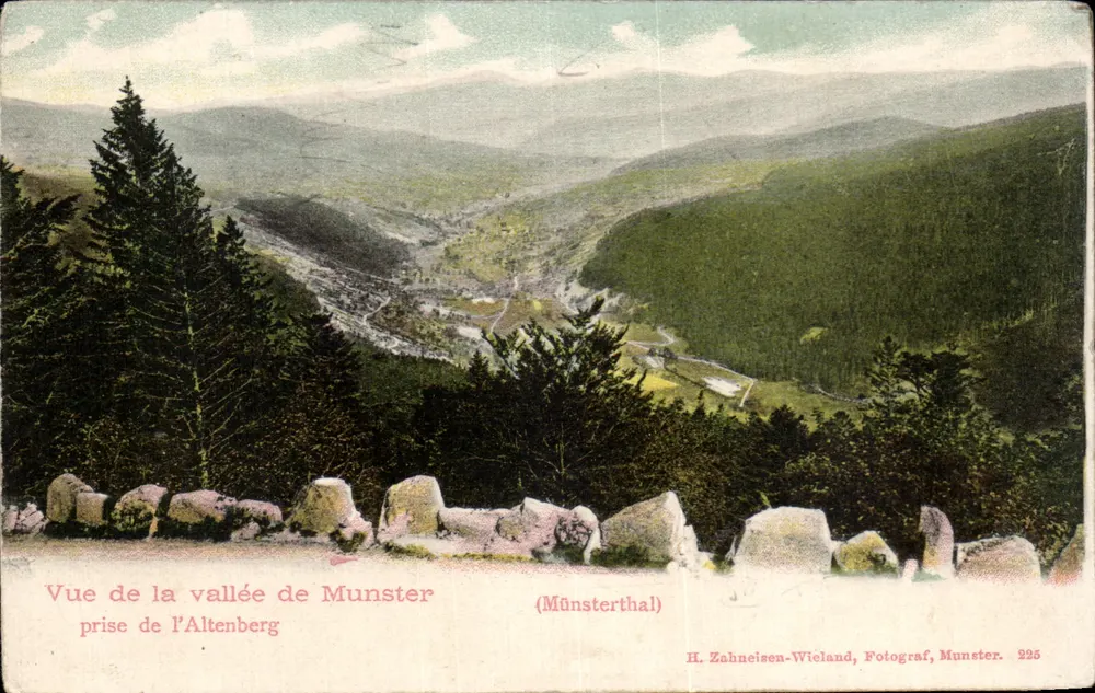 Aussicht auf das Tal von Munster — Aufnahme vom Altenberg — H. Zehneisen-Wieland, Munster. 225 - Vorderseite