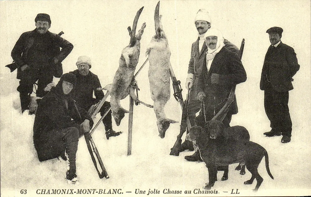 Chamonix-Mont-Blanc — Eine schöne Schafschur — LL - Vorderseite