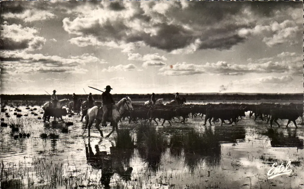 La Camargue — Überquerung eines Moores — Verlag: Photo Stel - Vorderseite
