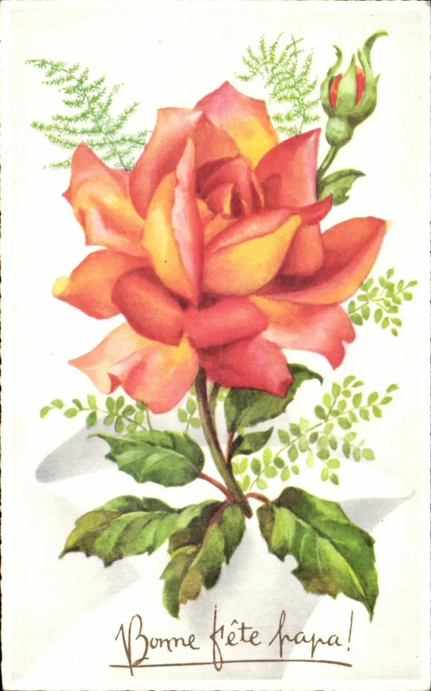Rose — farbige Illustration — M.D. Paris, Serie Nr. 4910 - Vorderseite