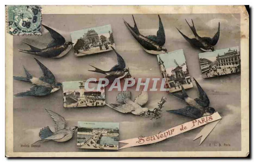 Paris — scène de rapaces et de petits oiseaux — éditeur Andréis Déposé - Recto