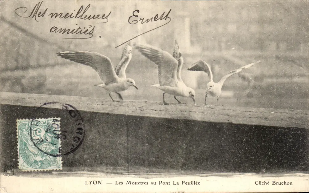 LYON — As Garças no Ponte La Feuillée — Cliché Bruchon - Frente