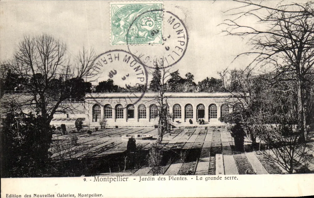 Montpellier - Jardin botanique - Die große Gewächshaus — Edition des Nouvelles Galeries, Montpellier, n°9 - Vorderseite