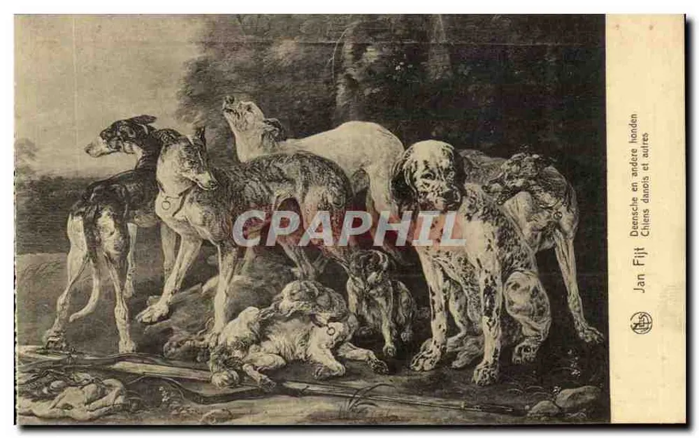 Jagdhunde — verschiedene Rassen — Jan Fijt - Vorderseite