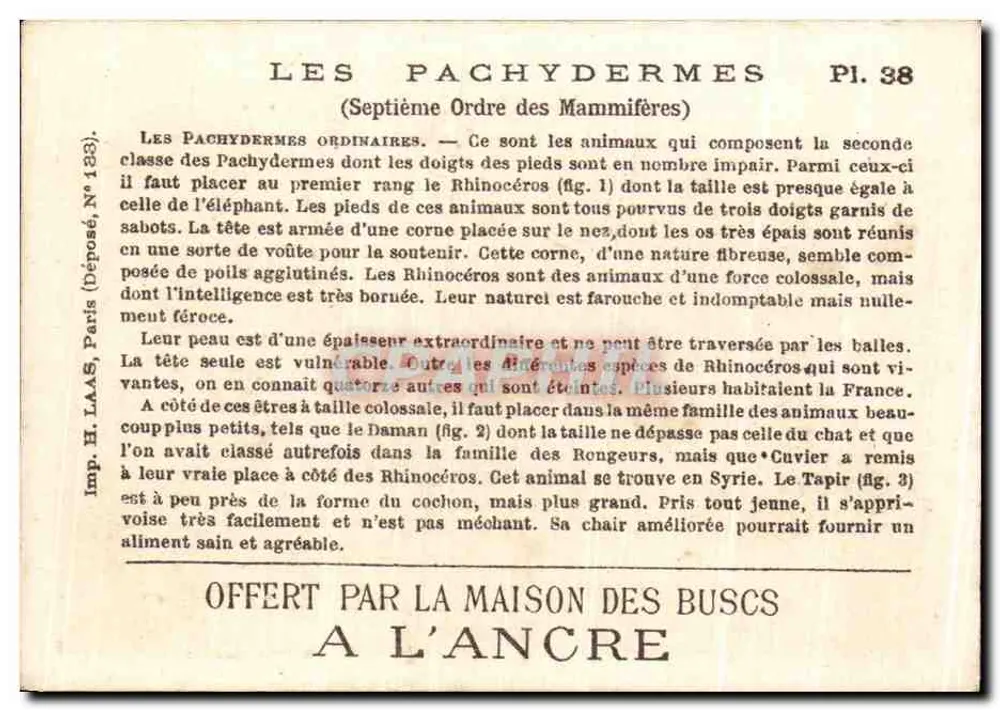 Die Pachyderme — Nashorn, Daman, Tapir — Pl. 38 — H. Laas, Paris - Rückseite