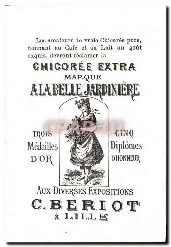 Blüten und Vogel — Werbung für die extra Chicorée 'La Belle Jardinière' — C. Beriot in Lille - Rückseite