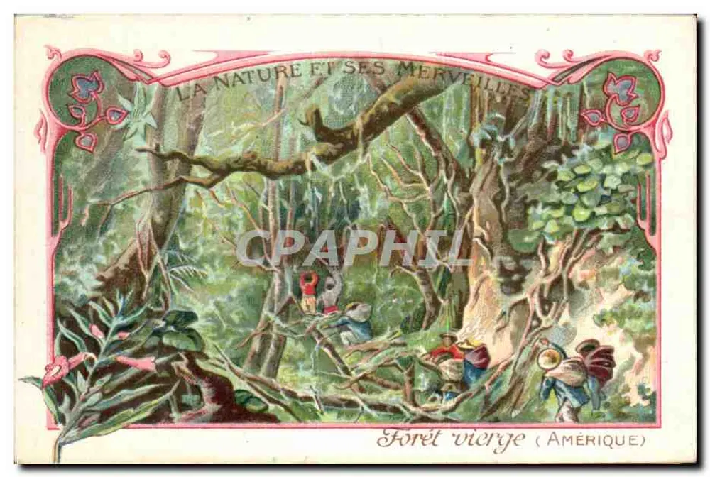 Urwald (Amerika) — Die Natur und ihre Wunder — Bon-Point - Vorderseite