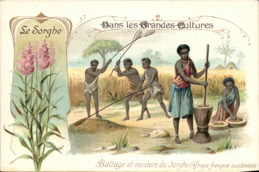 Sorghum-Getreideernte und Mühle — Französisch-Westafrika — Bon-Point - Vorderseite