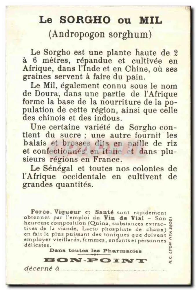 Sorghum-Getreideernte und Mühle — Französisch-Westafrika — Bon-Point - Rückseite