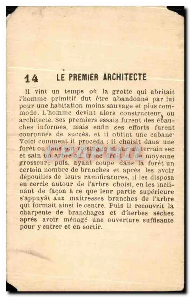 O Primeiro Arquiteto — série 14 — editor não visível - Verso