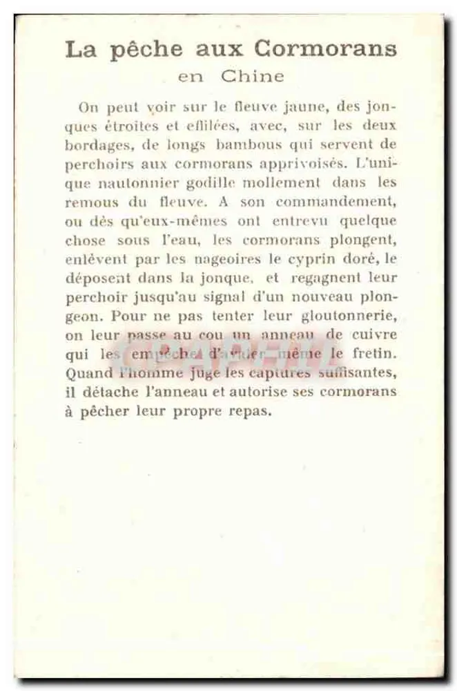 A pesca aos corujões — China — texto impresso - Verso