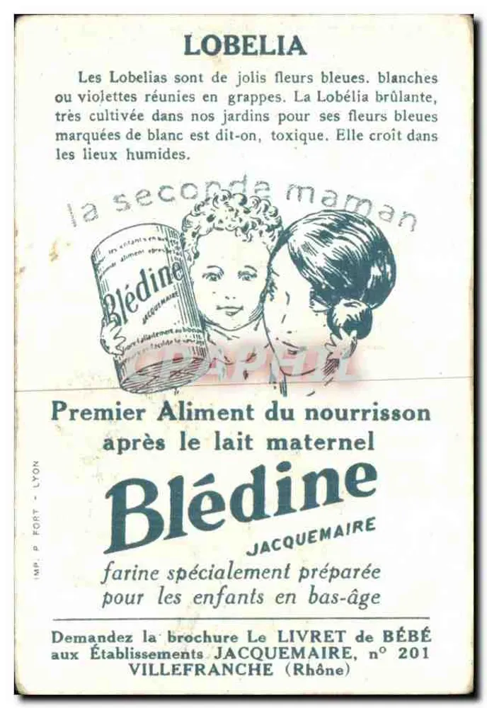 Lobélia — Planta medicinal e publicidade para Blédine — Editor Jacquemaire - Verso