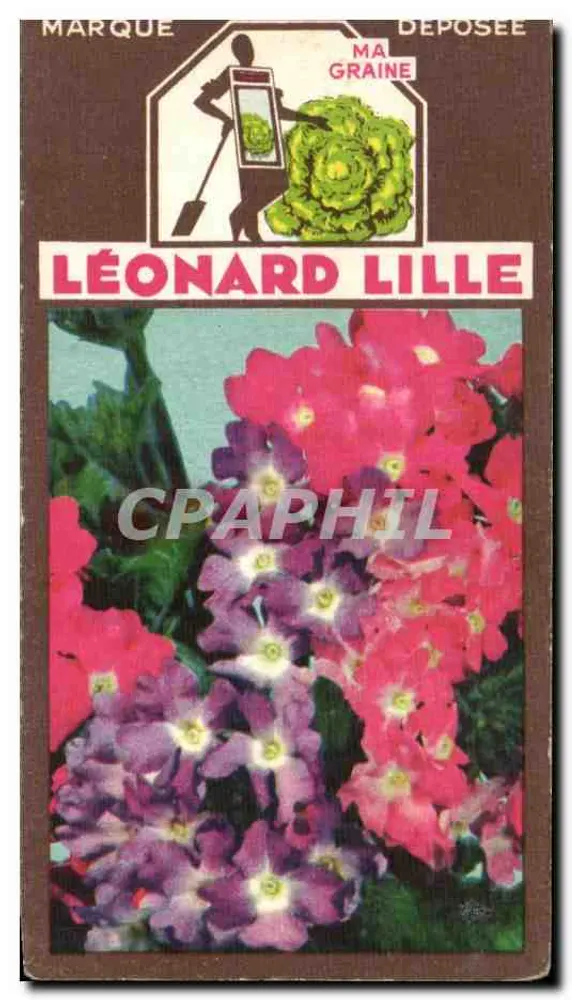Flores de primavera — promoção de sementes — Léonard Lille - Frente