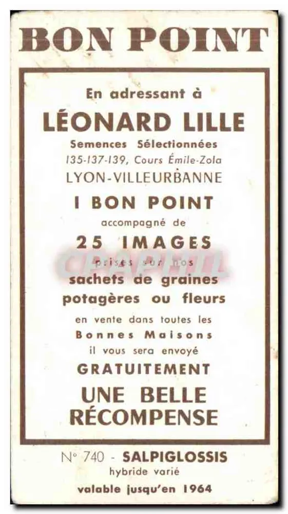 Flores coloridas — Léonard Lille — N° 740 - Verso