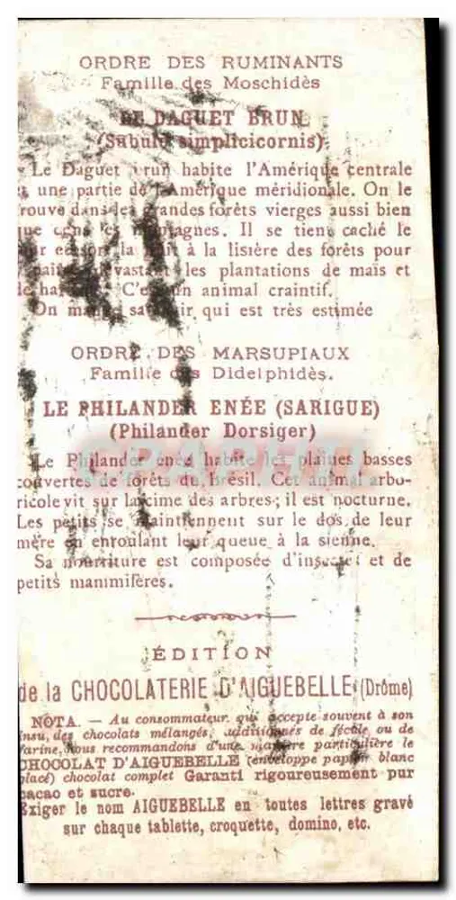 Die Welt der Säuger — Amerika — Ordnung der Wiederkäuer & Beuteltiere — Ausgabe von Chocolaterie d'Aiguebelle (Drôme) - Rückseite