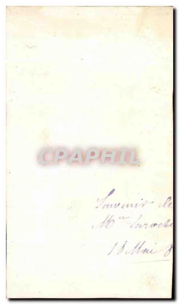 Flores y bayas — tarjeta postal de felicitación — Lyre Espottiswoode, n° 636 - Reverso