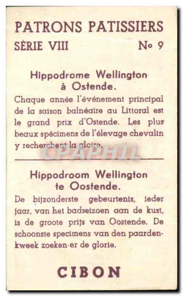 Wellington Hippodrome in Ostend — Serie VIII, Nr. 9 — Cibon - Rückseite