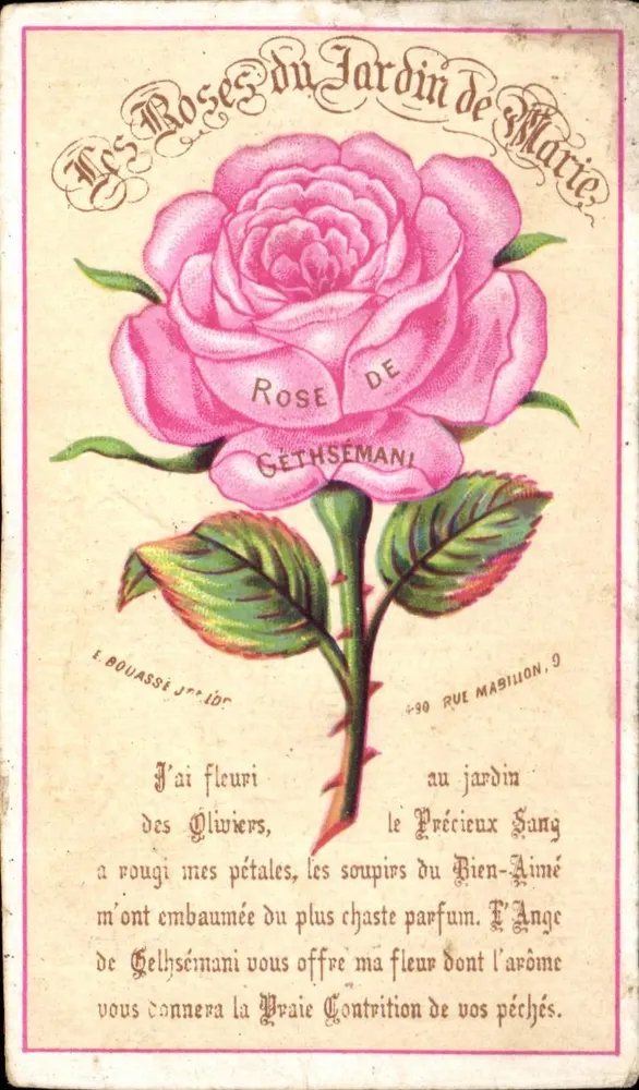 Die Rosen des Gartens von Marie — Rose von Gethsemane — Verlag L. Bouasse Jr. & Cie, Nr. 90 rue Mabillon, Paris - Vorderseite