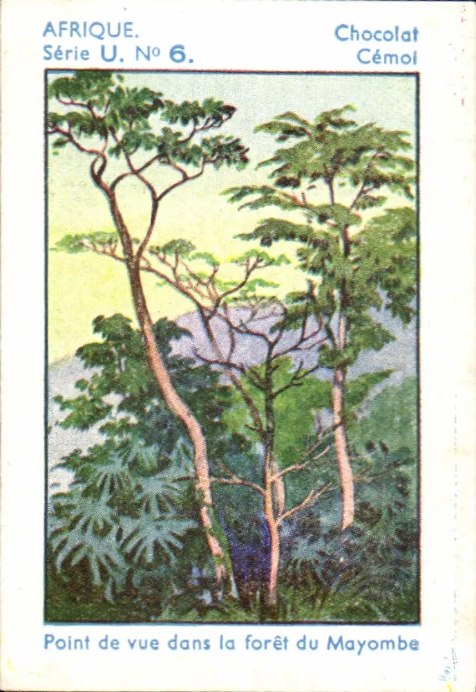 Floresta do Mayombe — Vista na floresta do Mayombe — Chocolat Cémoi, Série U. N° 6. - Frente