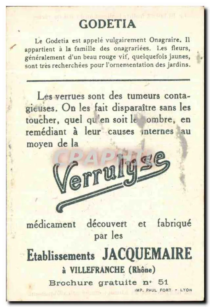 Blédine — Godetia — Jacquemaire-Establishment - Rückseite