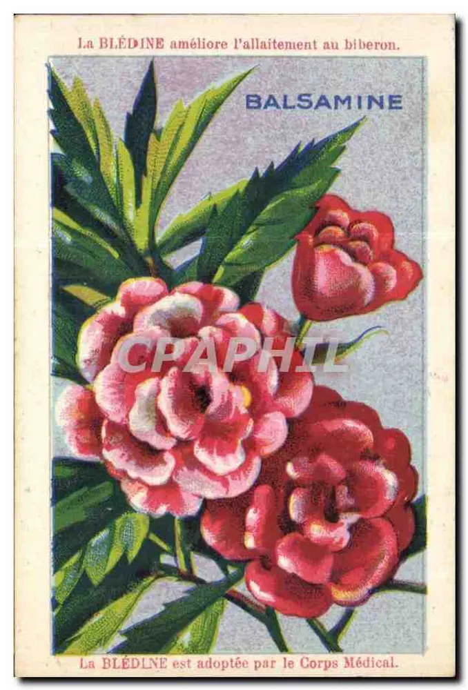 Balsamina — flor medicinal e farinha para crianças — editor Jacquemaire, Lyon - Frente