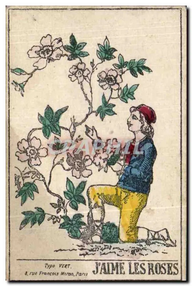 Jovem admirando rosas — editor Typo Vert, Paris - Frente