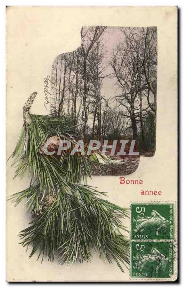 Winterwald — Kiefernzweig — A.S. Serie 371 - Vorderseite