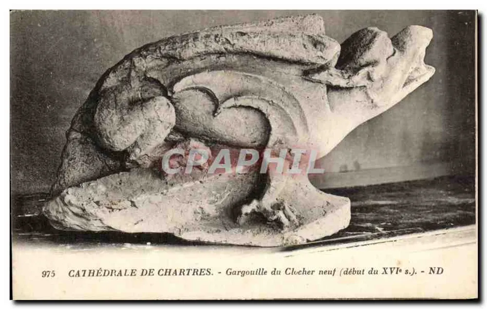 Kathedrale von Chartres — Gargoyle des neuen Turms (Anfang des 16. Jahrhunderts) — ND - Vorderseite