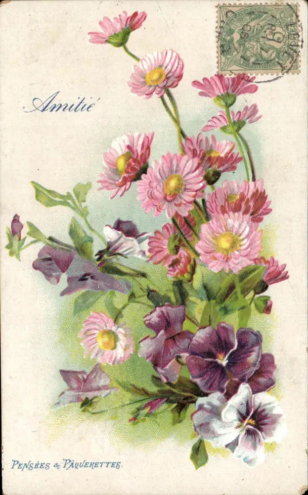 Blumen — Mohnblumen & Gänseblümchen — Unbekannter Verlag, Seriennummer nicht sichtbar - Vorderseite