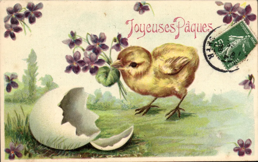 Poussin, der aus einem Ei hervorkommt — Violette — Verlag nicht sichtbar - Vorderseite
