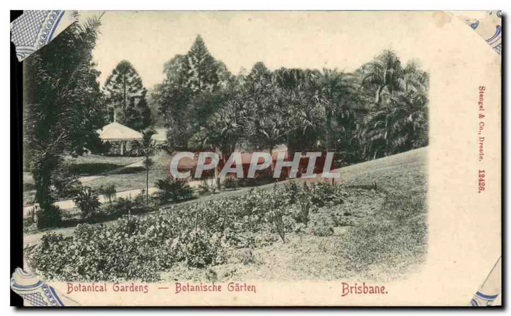 Botanischer Garten — Brisbane — Stempel & Co., Dresden, 1908 - Vorderseite