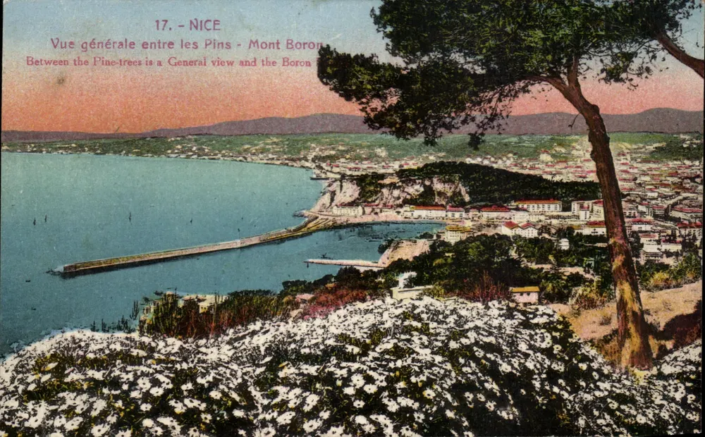 Nice — Allgemeiner Blick zwischen den Pines - Berg Boron — Ausgabe G. G. NICE 289 - Vorderseite