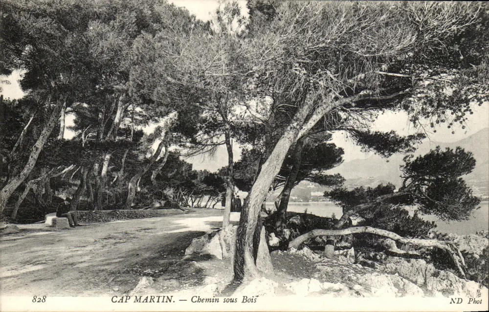 CAP MARTIN — Chemin sous Bois — ND Phot, n° 828 - Frente