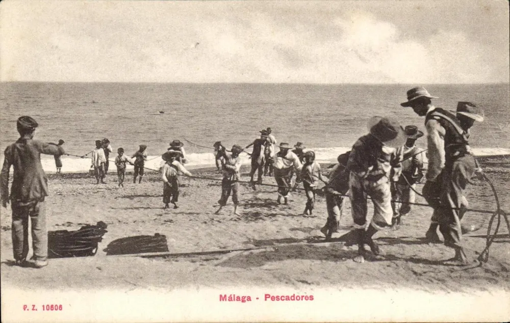 Málaga - Vissers — P.Z. 10806 - Voorkant