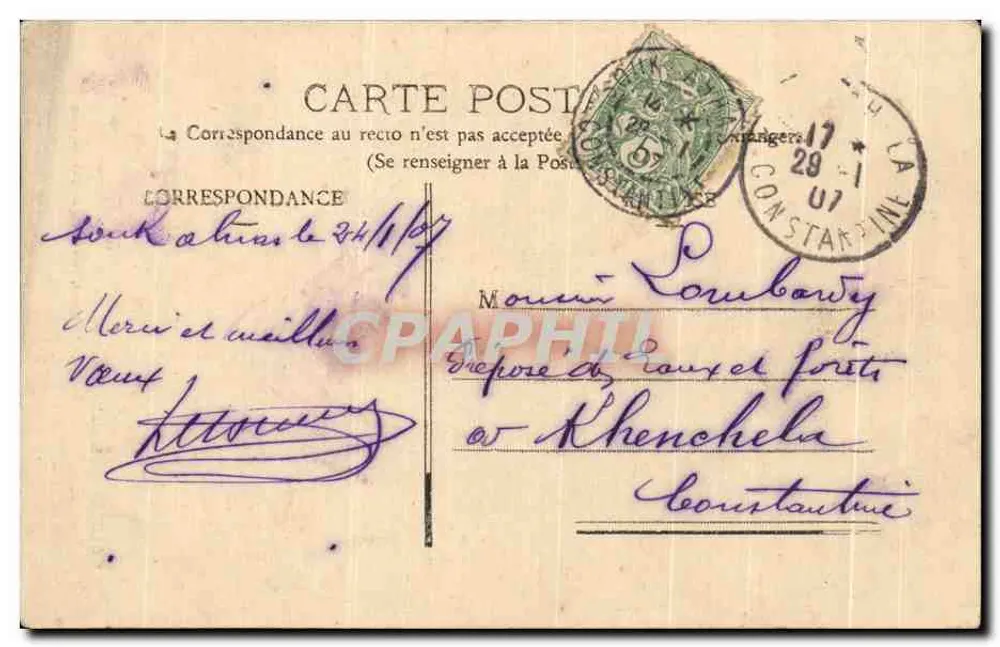 Souk Ahras - L'Hôtel-de-Ville — éditeur Terris & Cie, Villa Gabrielle Gambetta, Oran - Verso